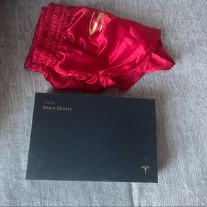 Tesla Shorts